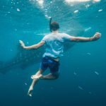 Swim Smart, Stay Safe: Expert Tips to Defend Against Shark Attacks While Enjoying the Ocean