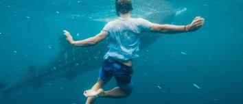 Swim Smart, Stay Safe: Expert Tips to Defend Against Shark Attacks While Enjoying the Ocean